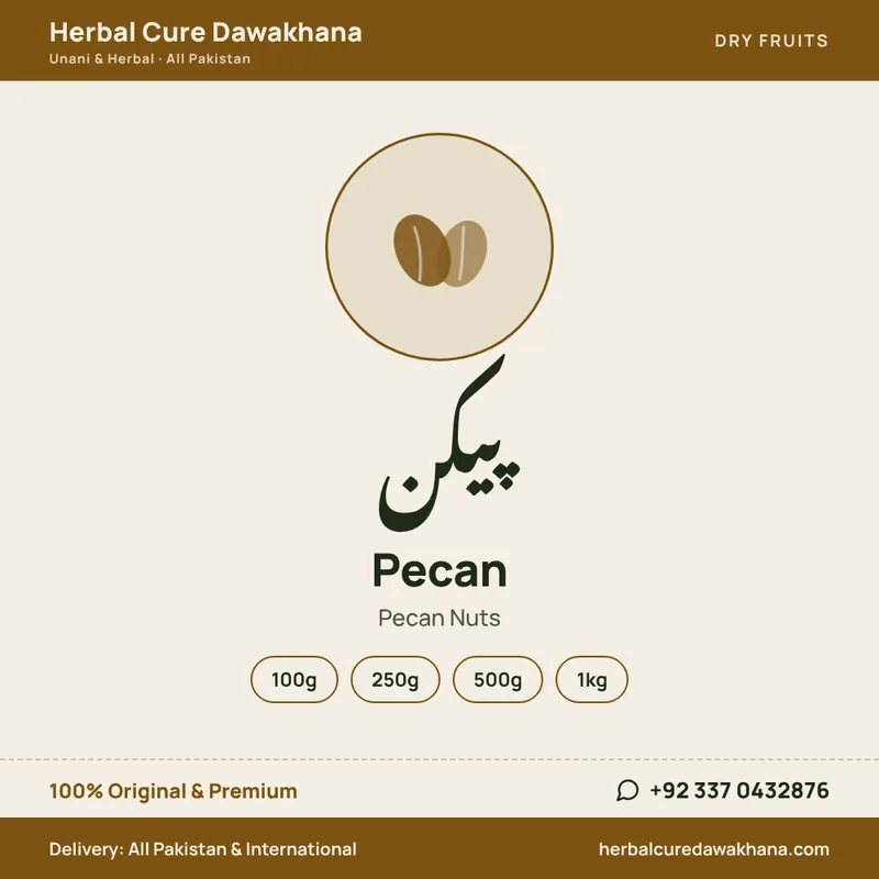 Pecan (Pecan Nuts)