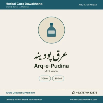 Arq-e-Pudina (Mint Water)