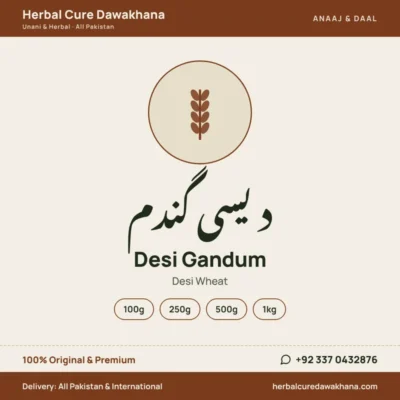 Desi Gandum (Desi Wheat)