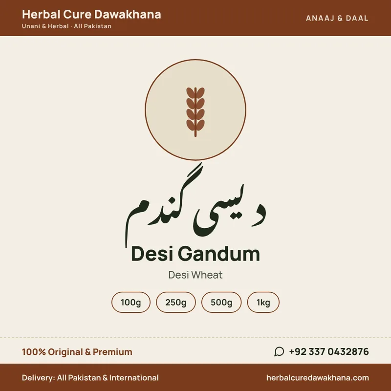 Desi Gandum (Desi Wheat)