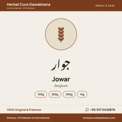 Jowar (Sorghum)