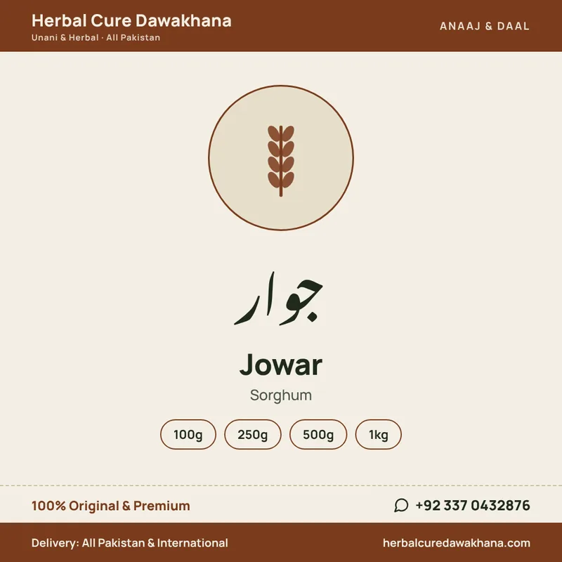 Jowar (Sorghum)