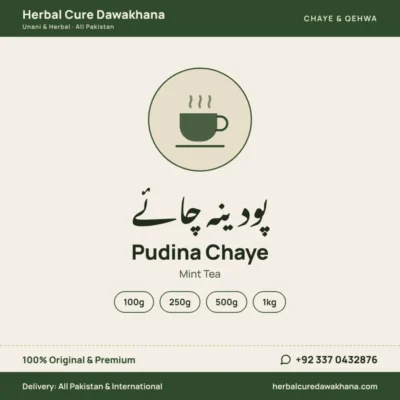 Pudina Chaye (Mint Tea)