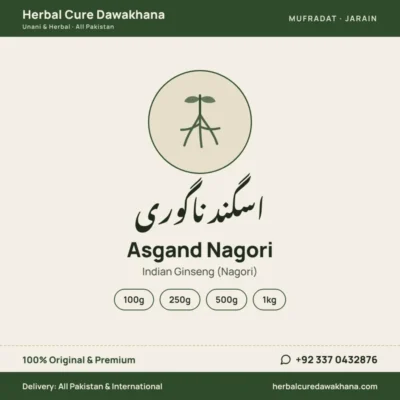 Asgand Nagori (Indian Ginseng (Nagori))