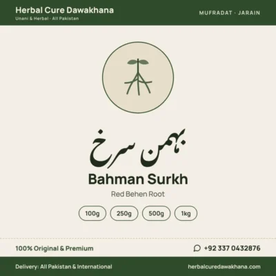 Bahman Surkh (Red Behen Root)