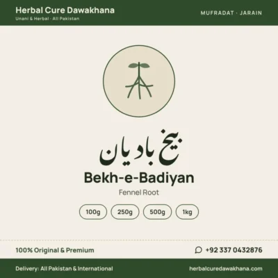 Bekh-e-Badiyan (Fennel Root)