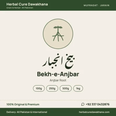 Bekh-e-Anjbar (Anjbar Root)