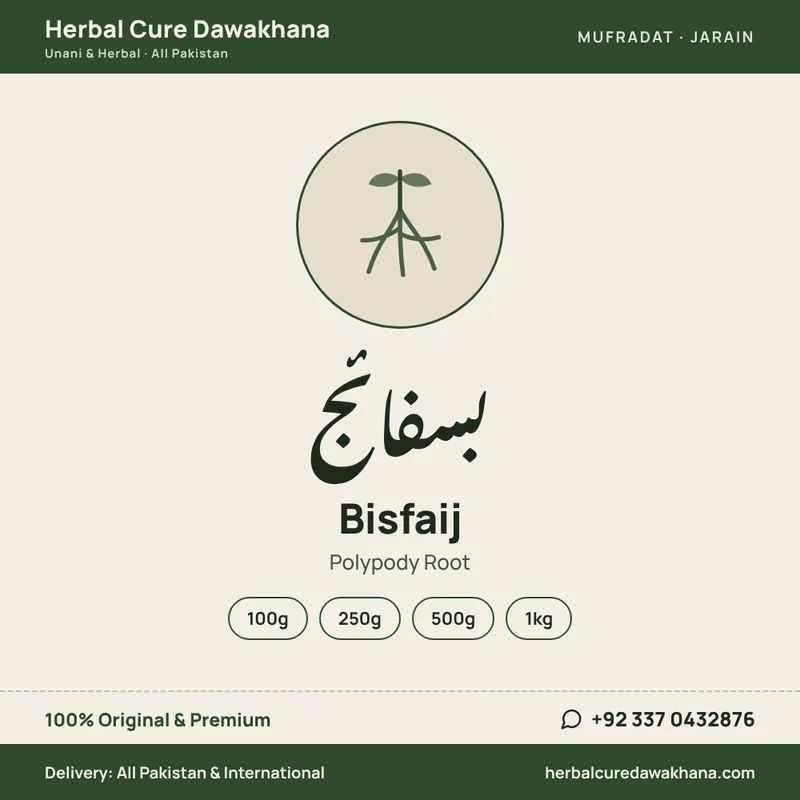 Bisfaij (Polypody Root)