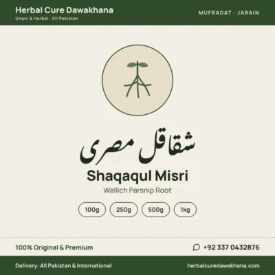 Shaqaqul Misri (Wallich Parsnip Root)