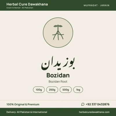 Bozidan (Bozidan Root)