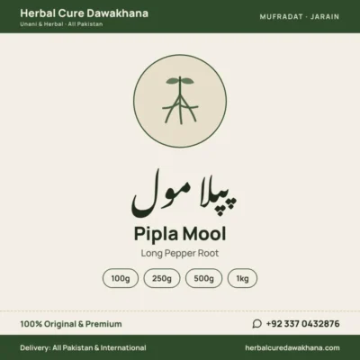 Pipla Mool (Long Pepper Root)