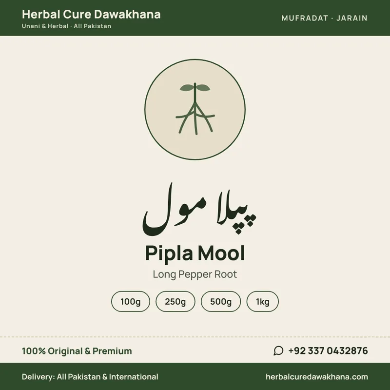Pipla Mool (Long Pepper Root)
