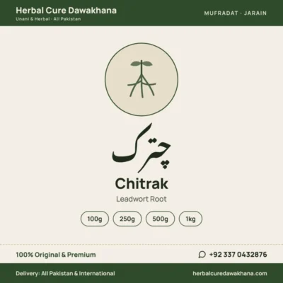 Chitrak (Leadwort Root)