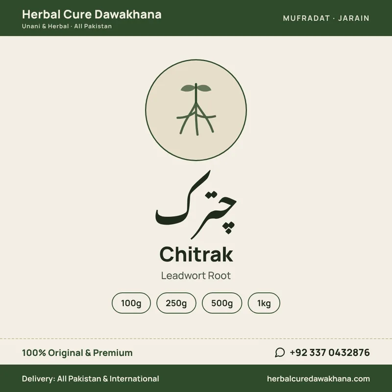 Chitrak (Leadwort Root)