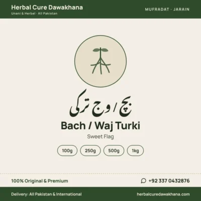 Bach / Waj Turki (Sweet Flag)