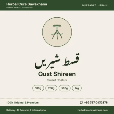 Qust Shireen (Sweet Costus)
