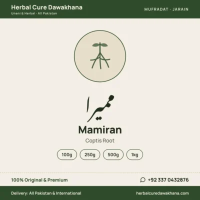 Mamiran (Coptis Root)
