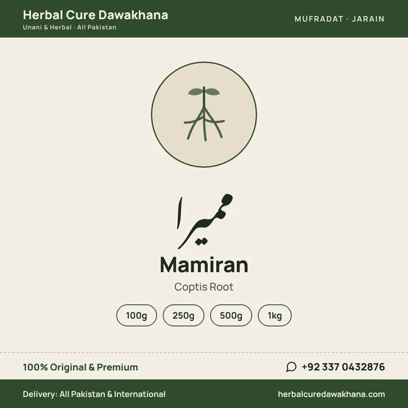 Mamiran (Coptis Root)
