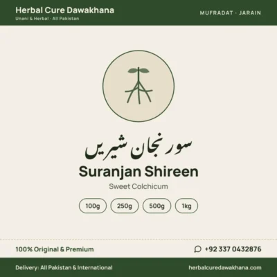 Suranjan Shireen (Sweet Colchicum)