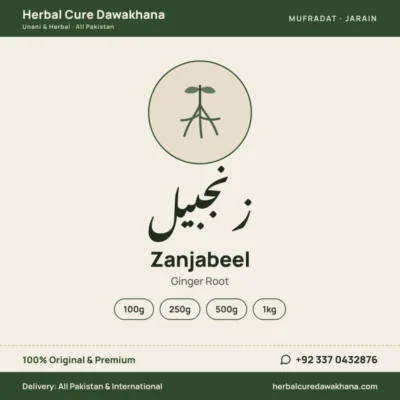 Zanjabeel (Ginger Root)