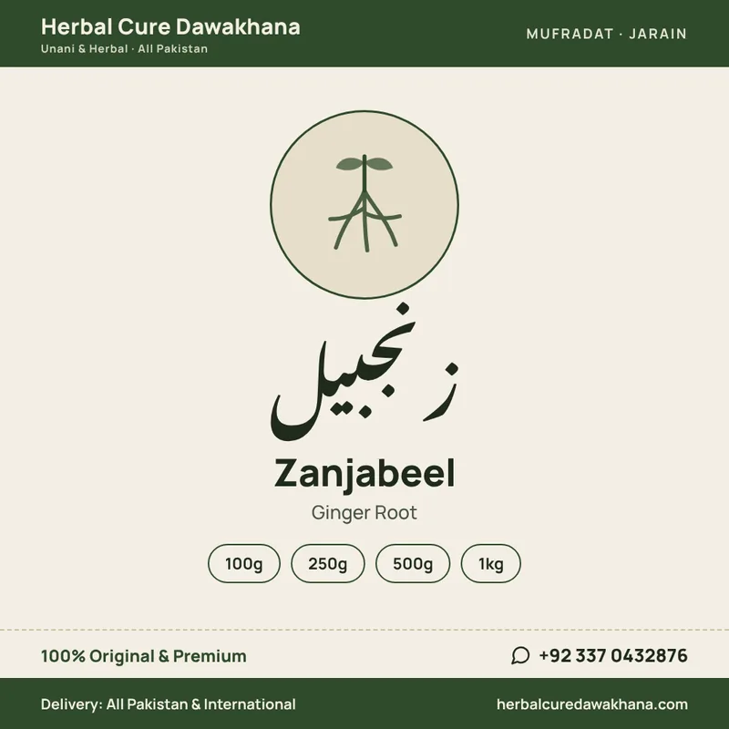Zanjabeel (Ginger Root)