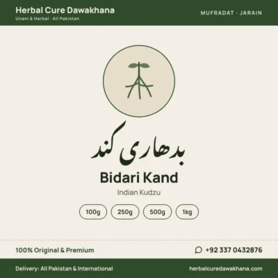 Bidari Kand (Indian Kudzu)