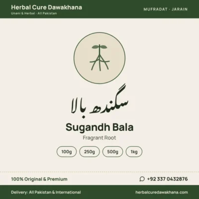 Sugandh Bala (Fragrant Root)