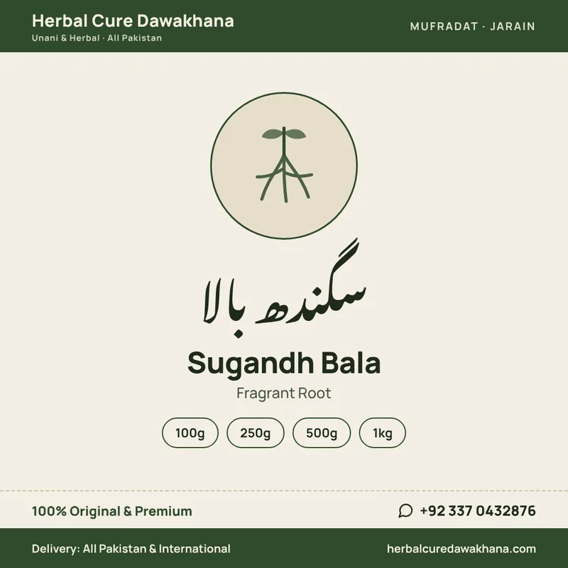 Sugandh Bala (Fragrant Root)