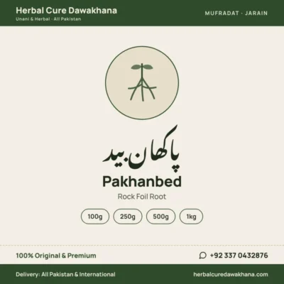 Pakhanbed (Rock Foil Root)