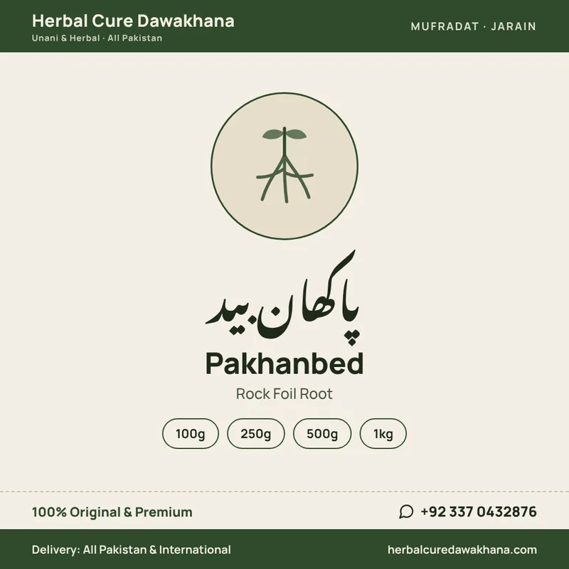 Pakhanbed (Rock Foil Root)