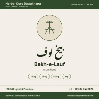 Bekh-e-Lauf (Arum Root)