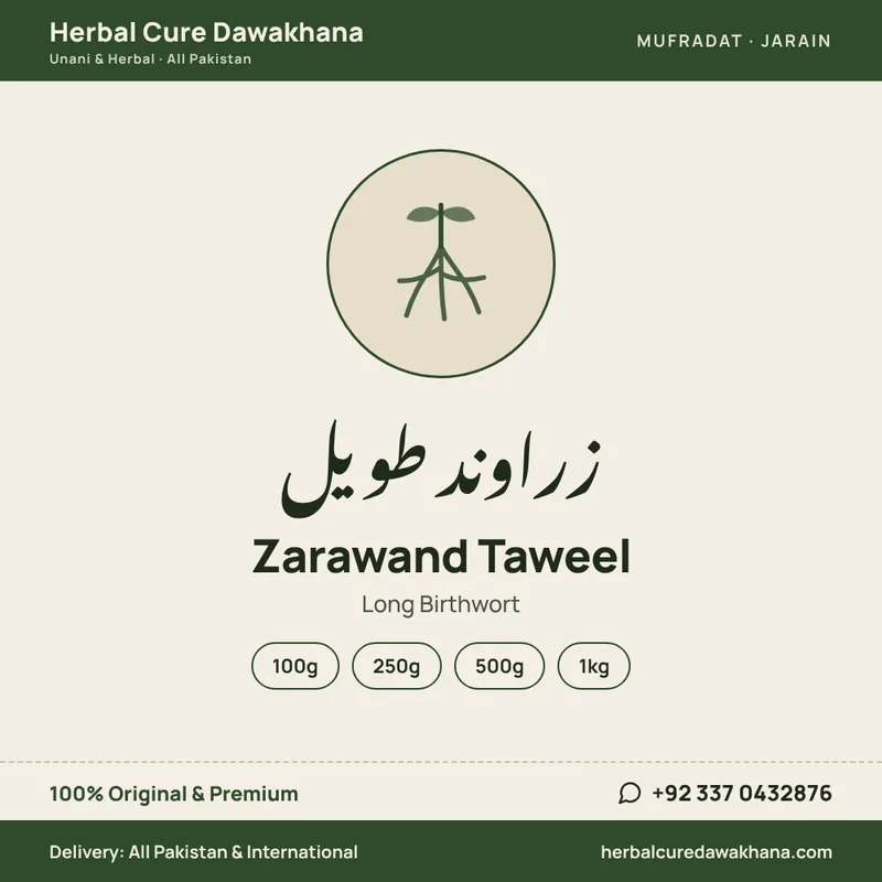Zarawand Taweel (Long Birthwort)