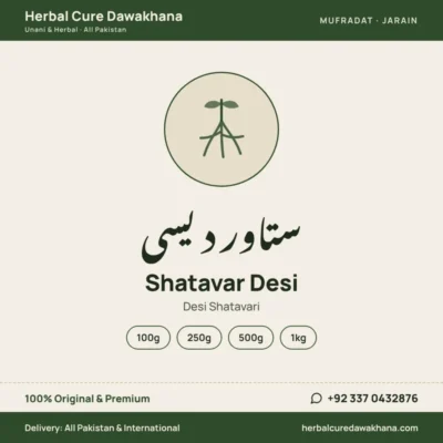 Shatavar Desi (Desi Shatavari)