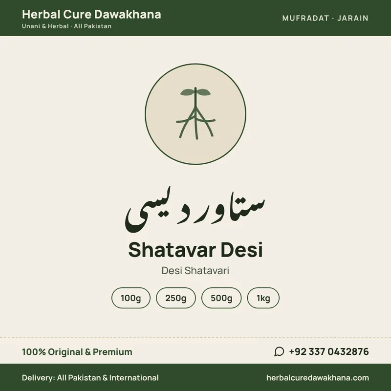Shatavar Desi (Desi Shatavari)