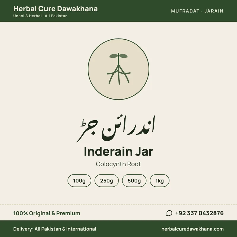 Inderain Jar (Colocynth Root)
