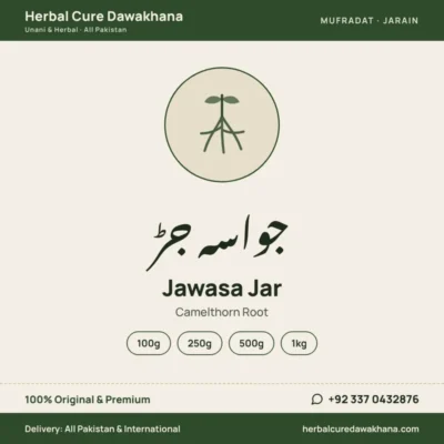 Jawasa Jar (Camelthorn Root)