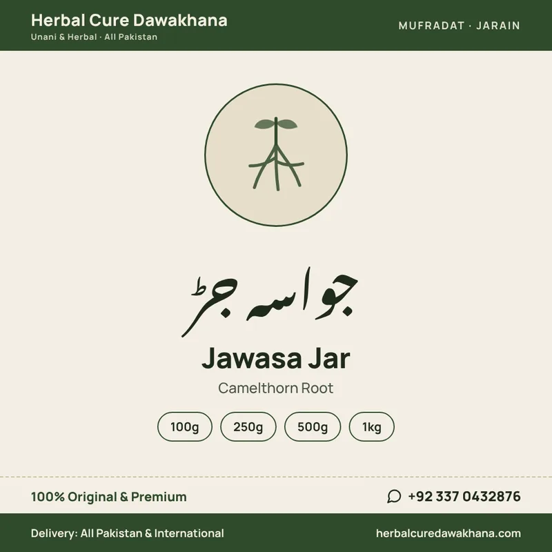 Jawasa Jar (Camelthorn Root)