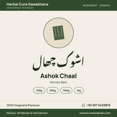 Ashok Chaal (Ashoka Bark)