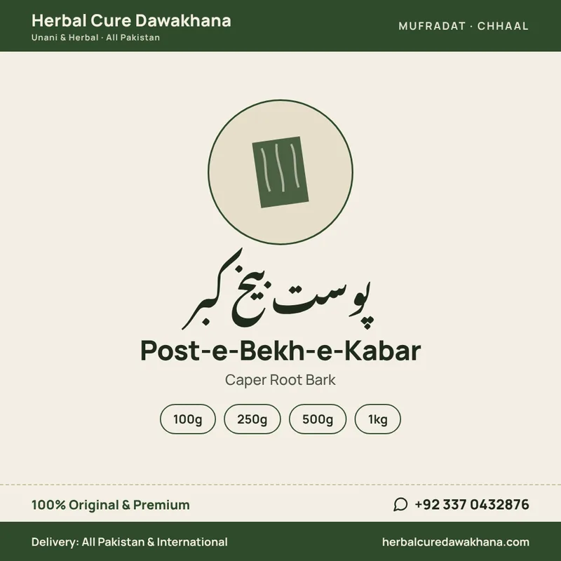 Post-e-Bekh-e-Kabar (Caper Root Bark)