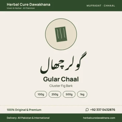 Gular Chaal (Cluster Fig Bark)
