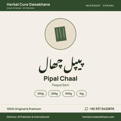 Pipal Chaal (Peepal Bark)