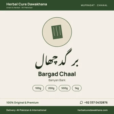 Bargad Chaal (Banyan Bark)