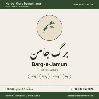 Barg-e-Jamun (Jamun Leaves)
