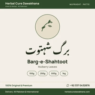Barg-e-Shahtoot (Mulberry Leaves)
