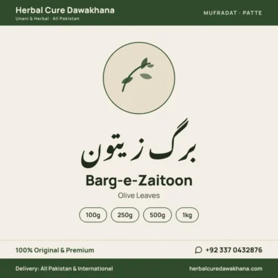 Barg-e-Zaitoon (Olive Leaves)