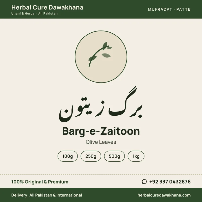 Barg-e-Zaitoon (Olive Leaves)