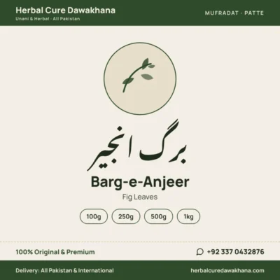 Barg-e-Anjeer (Fig Leaves)