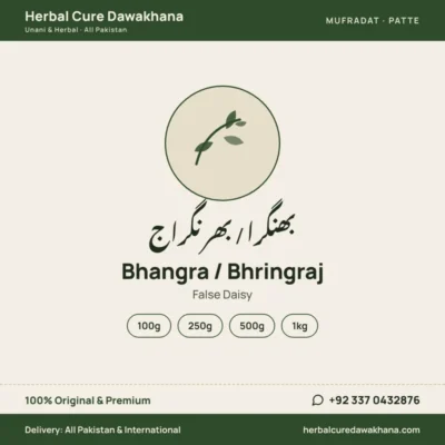 Bhangra / Bhringraj (False Daisy)