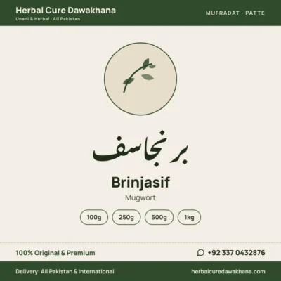Brinjasif (Mugwort)