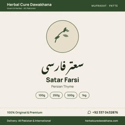 Satar Farsi (Persian Thyme)